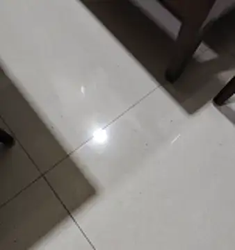 MoonlikeData9 라이브 XXX 채팅