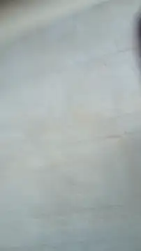 Sembang XXX Secara Langsung Alejandra_N
