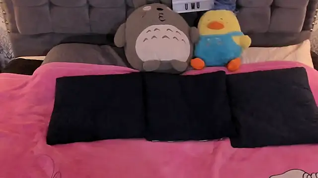 kitticam 라이브 XXX 채팅