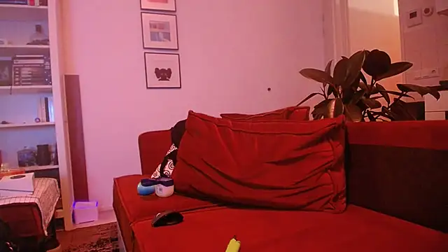Show modela P4RtYBOII92 na web-kameri