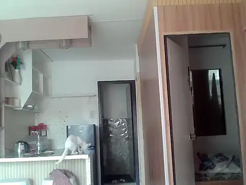 bigcockkyla Show in webcam