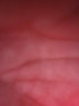 Czat XXX na żywo – Crushme_cpl