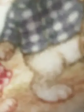 Živý XXX chat SweetBunnyGF
