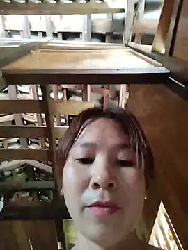 Biva11 라이브 XXX 채팅