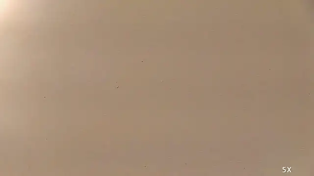 adepravertotal 라이브 XXX 채팅