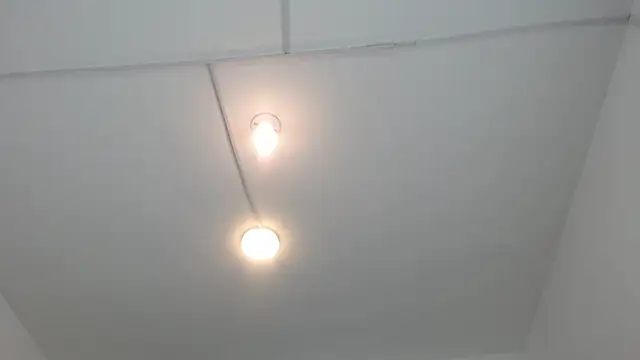 PhillipCox 라이브 XXX 채팅
