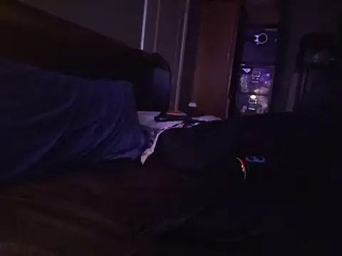ThatPlatinumD's Webcam Show