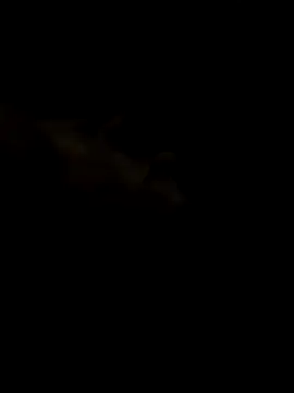 Claudioxavier2 XXX чат на живо