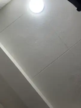 lya_nekko_ 라이브 XXX 채팅