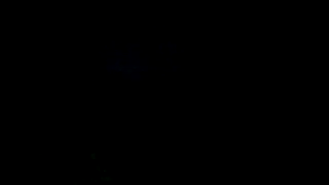 Chat XXX en directo de BigBossaNova69