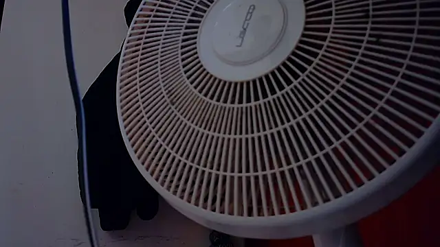 צ'אט XXX בשידור חי של ThiagoFerrer_