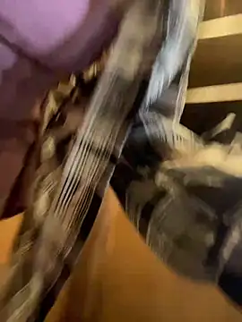 Molly-xiao's Live XXX Chat