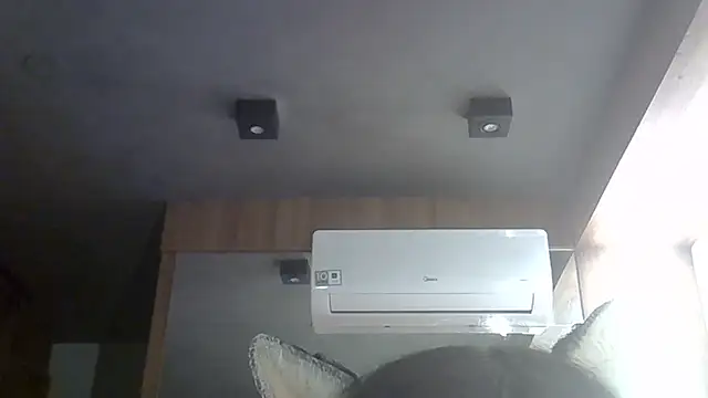 SkinnyKitten's Webcam Show