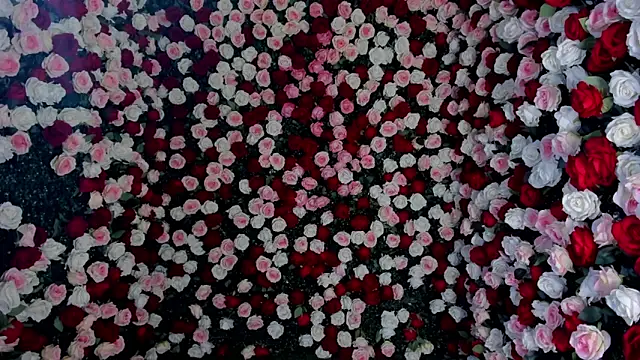 Mindy_Claker 即時 XXX 聊天
