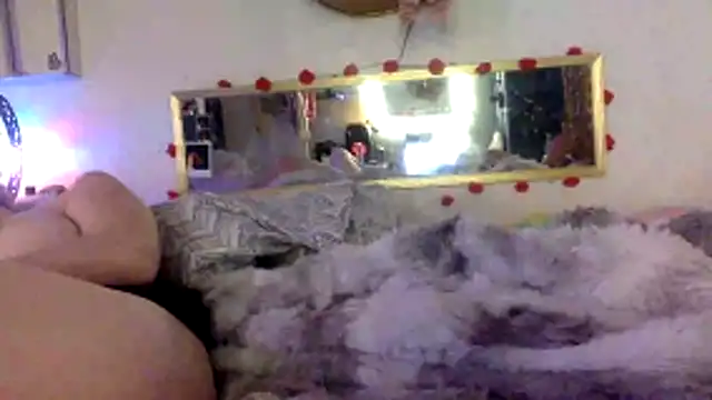 Show webcam de XOADDICT