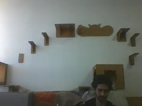 Temp7's Webcam Show