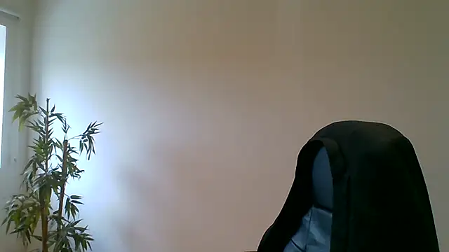 Show de webcam de 66MA69