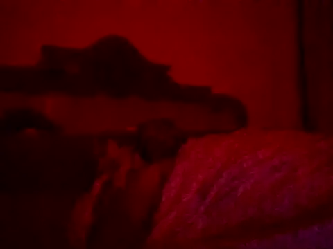 FuckkkStarrr Webcam Show