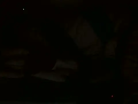 Scate – Naživo XXX chat