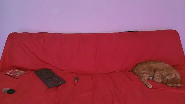 Nikki__uwu Chat XXX live