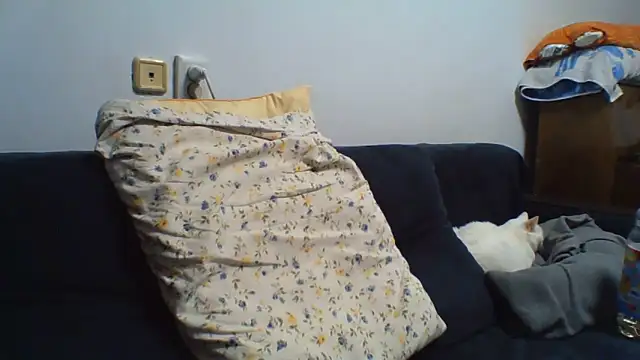 KaelNox Live XXX Chat