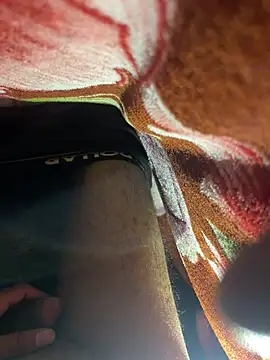 Wildlovee Webcam-Show