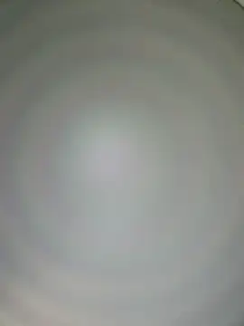 tom_latin élő XXX-chatje