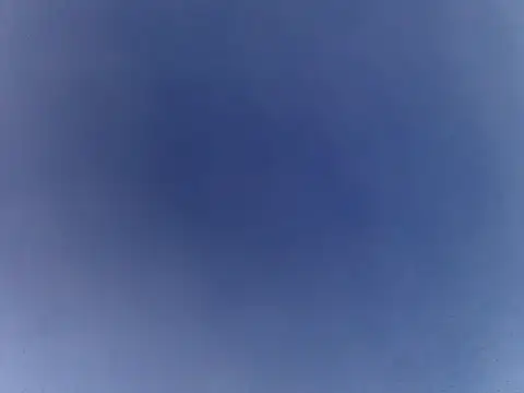 Damatetona 라이브 XXX 채팅