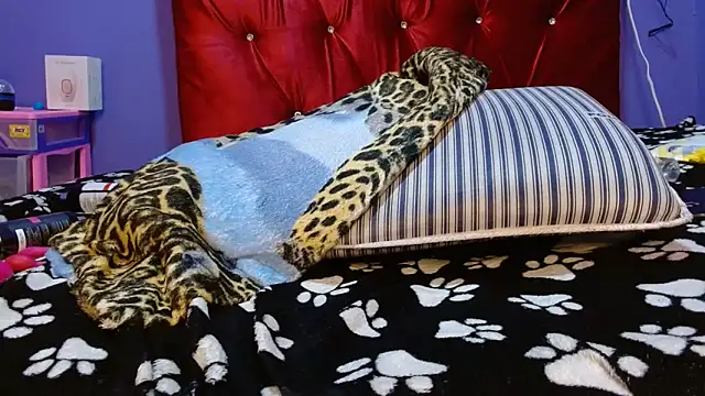 Chat XXX en directo de violeta24
