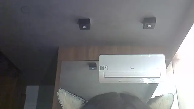 Show de SkinnyKitten na webcam