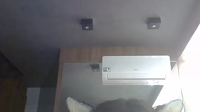 Show de webcam de SkinnyKitten