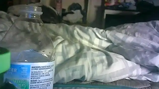 Chat XXX Live _P3RKY_IMMORTAL3_FIR3_