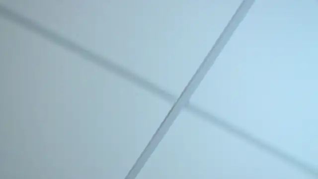 EllaBells – Naživo XXX chat
