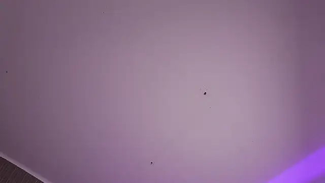 CleeoAdams_ 现场XXX聊天
