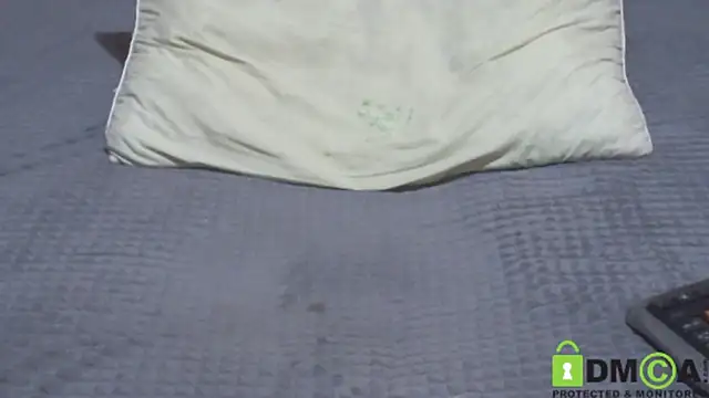 JumboBrain 网络视讯表演
