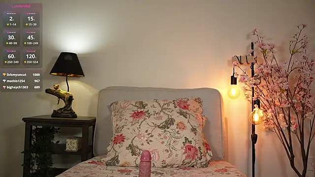 Chat +18 de ohhoneykate ao vivo