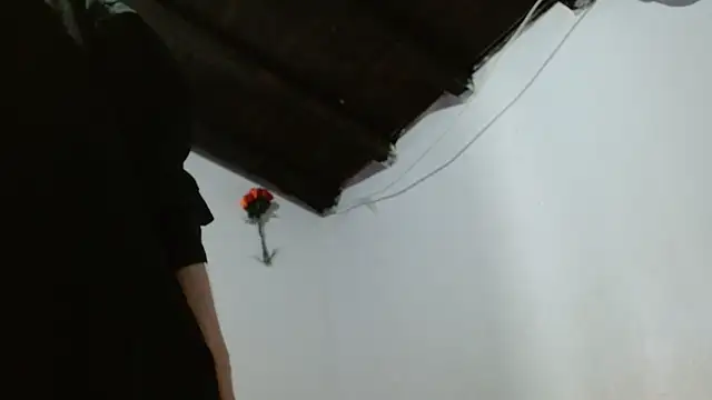 XXX chat uživo modela sk8-sir