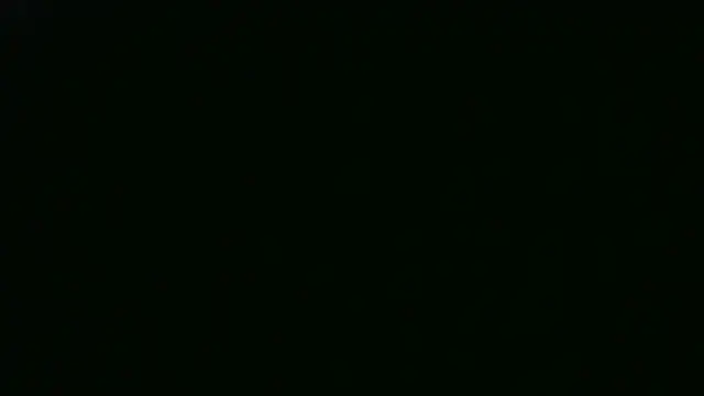 AshWinter's Live XXX Chat