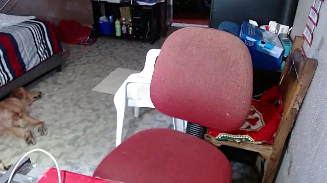 Chat +18 de Barbiegomez ao vivo