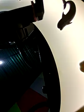 Putaalexa Chat XXX live