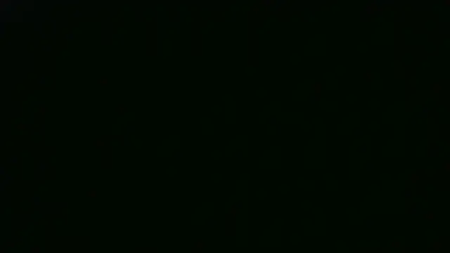 AshWinter Live XXX-chat