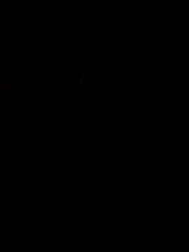 phlin1 现场XXX聊天