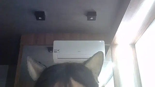 Show de webcam de SkinnyKitten