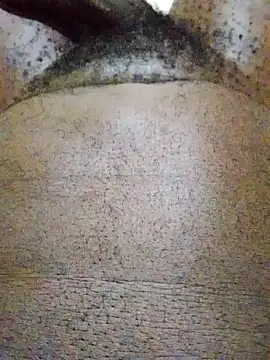 הופעת וובקאם של Gorgeshaze