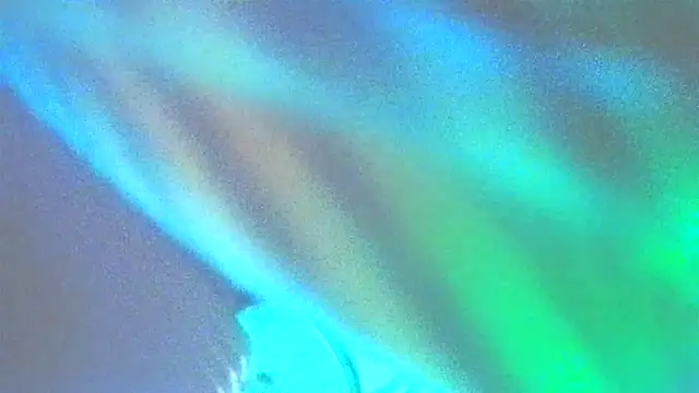 Shrimpsonspun661 webcam show
