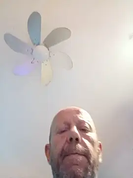 TOPHE0 Webcam Show