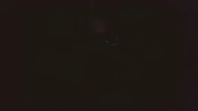 bqzofmjxwuir's Webcam Show