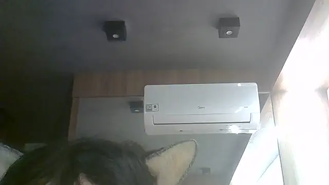 SkinnyKitten Live XXX-chat