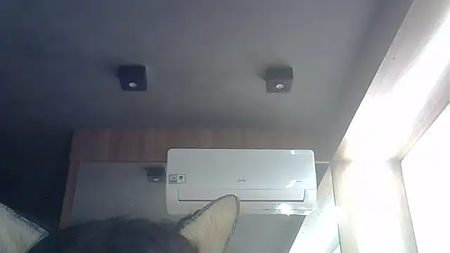 Show de SkinnyKitten na webcam