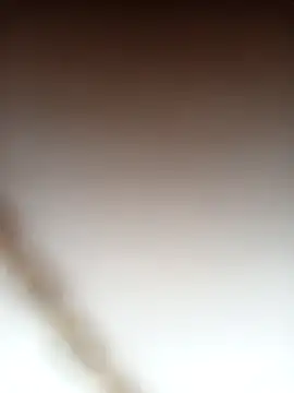 RossyAlvarez 라이브 XXX 채팅